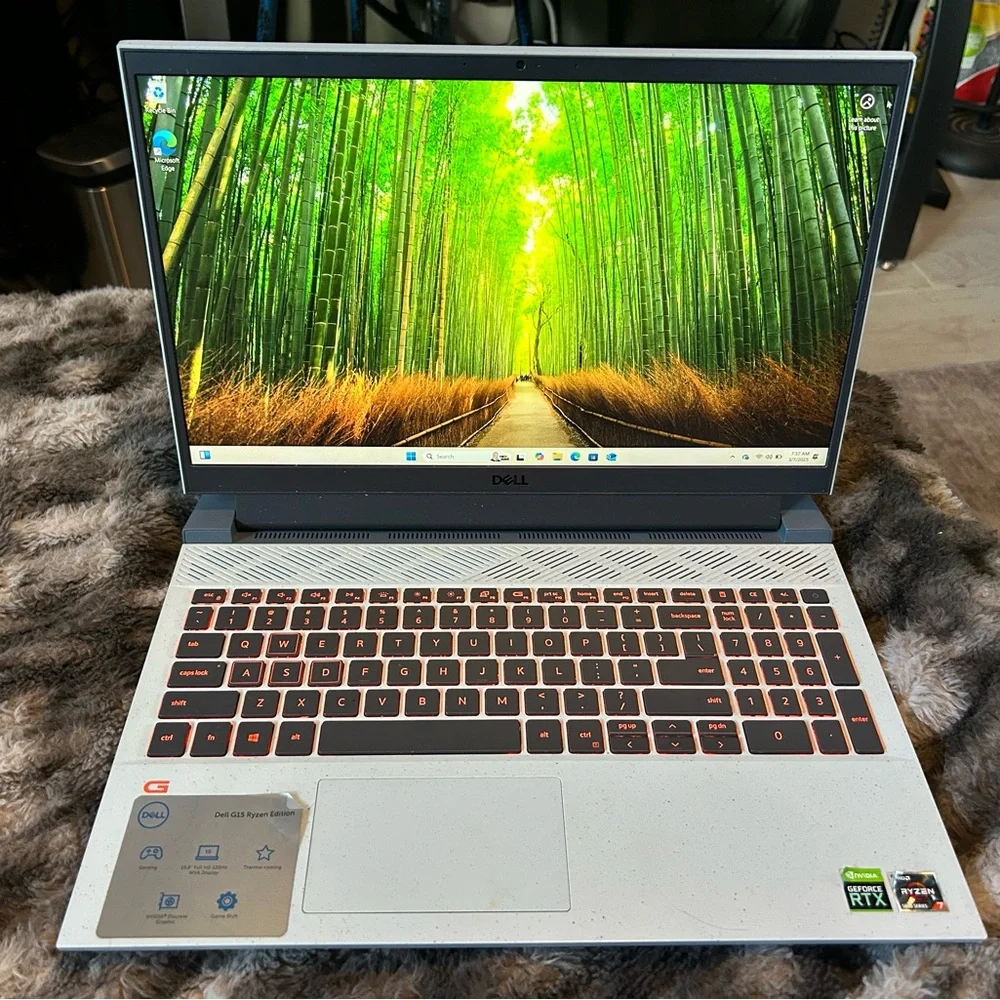 Dell Laptop - Silver